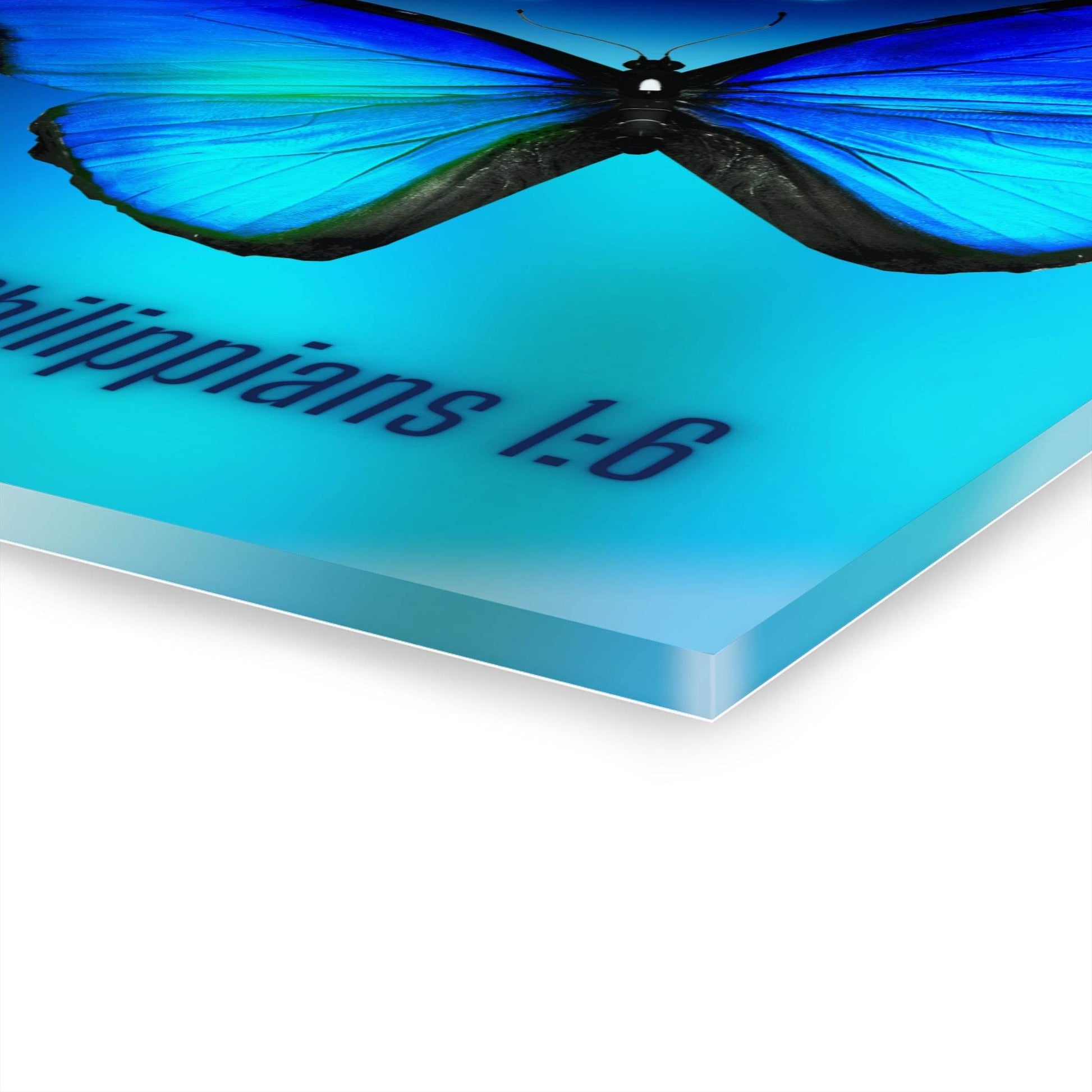 He Who Began a Good Work – Butterfly Acrylic Wall Art (Philippians 1:6) - Harmony + Hope