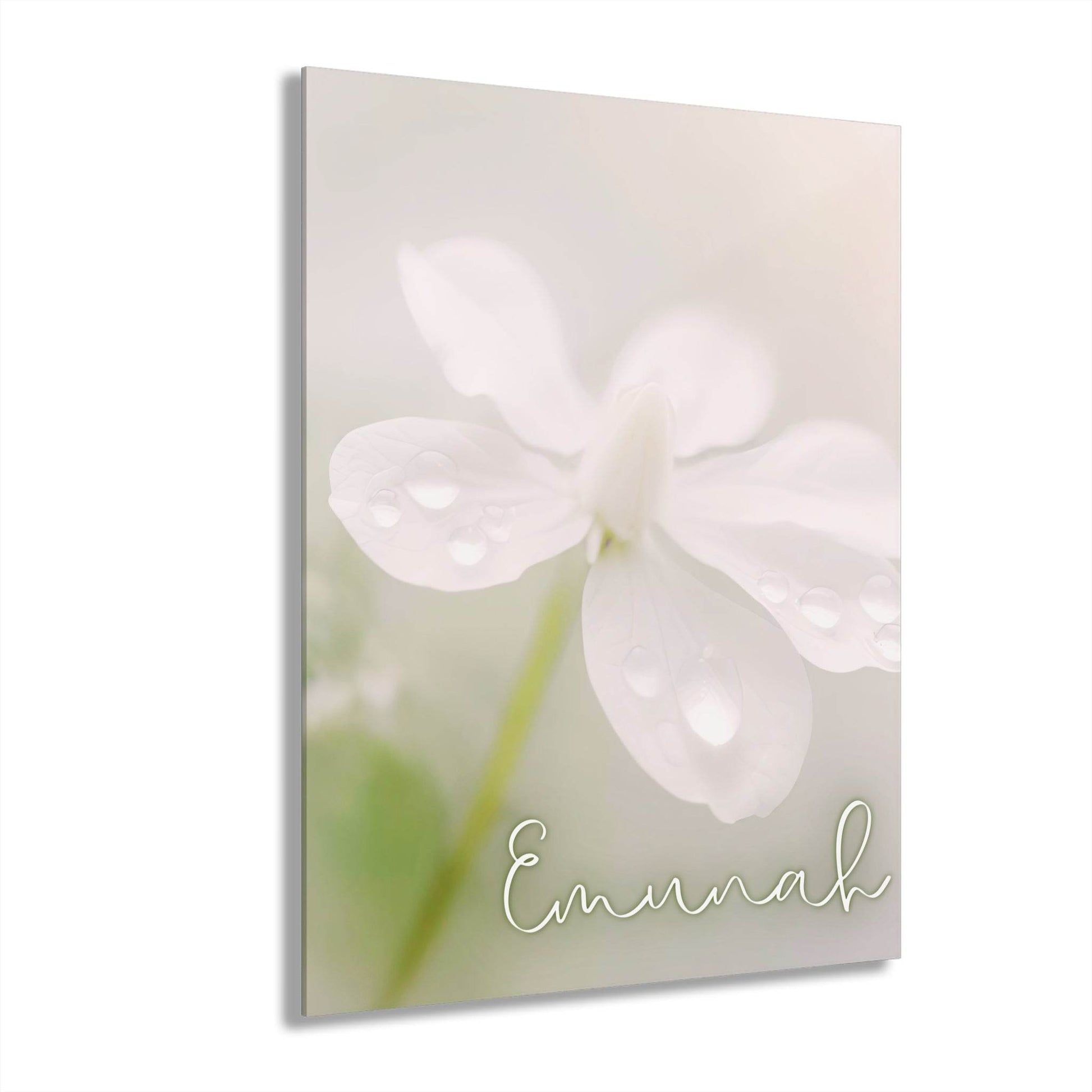 Emunah – Hebrew Faith Acrylic Wall Art with Dewy Floral Design - Harmony + Hope