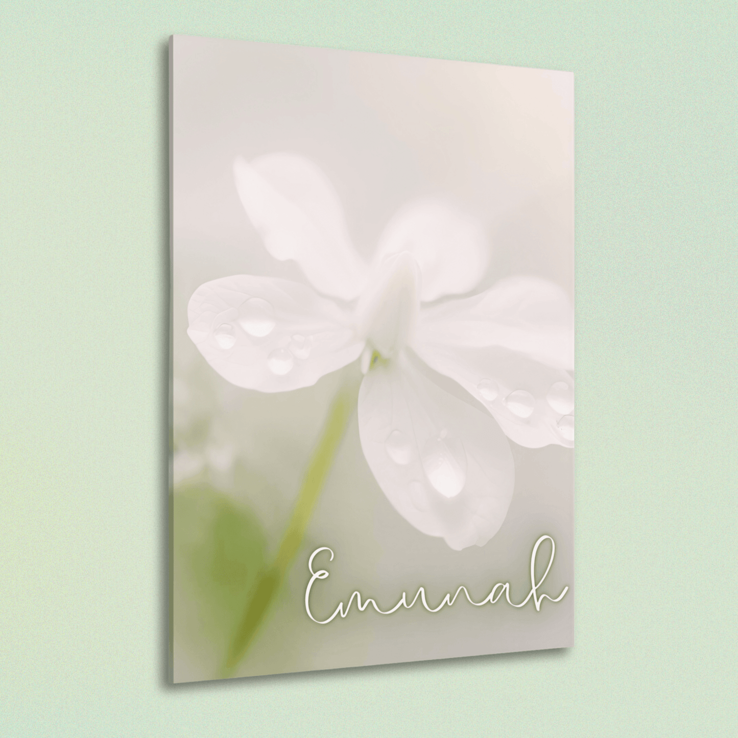 Emunah – Hebrew Faith Acrylic Wall Art with Dewy Floral Design - Harmony + Hope