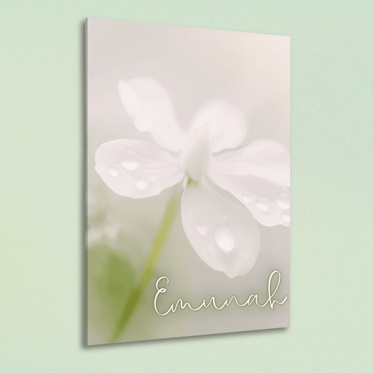 Emunah – Hebrew Faith Acrylic Wall Art with Dewy Floral Design - Harmony + Hope