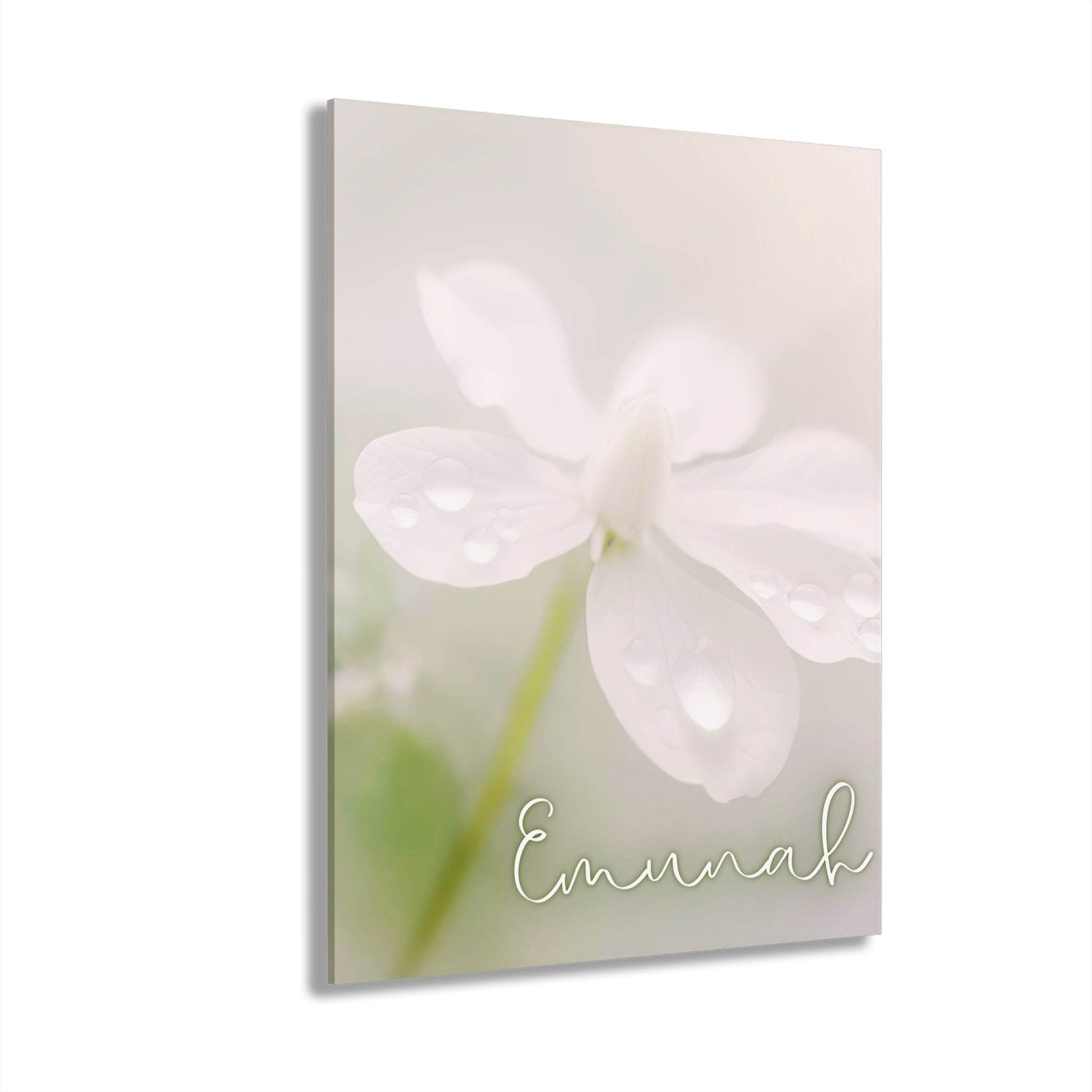 Emunah – Hebrew Faith Acrylic Wall Art with Dewy Floral Design - Harmony + Hope